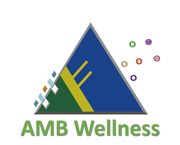 logo triangle2 180